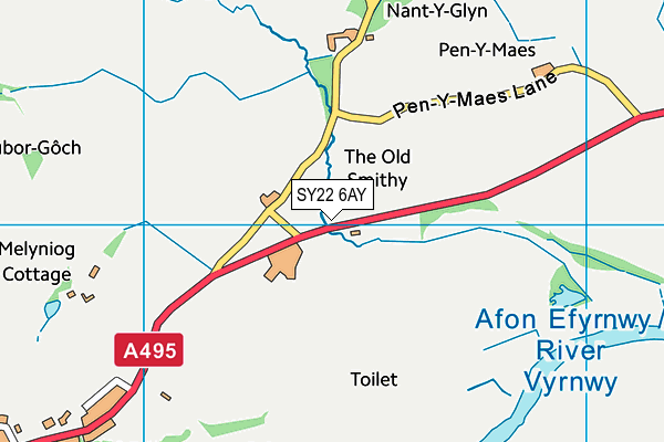 SY22 6AY map - OS VectorMap District (Ordnance Survey)