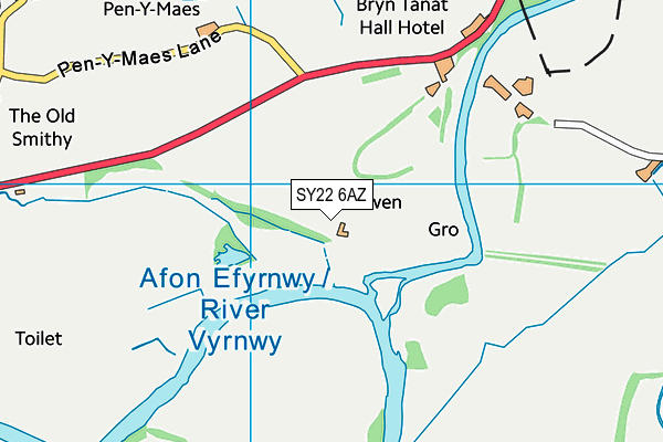 SY22 6AZ map - OS VectorMap District (Ordnance Survey)