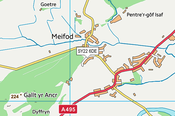 SY22 6DE map - OS VectorMap District (Ordnance Survey)