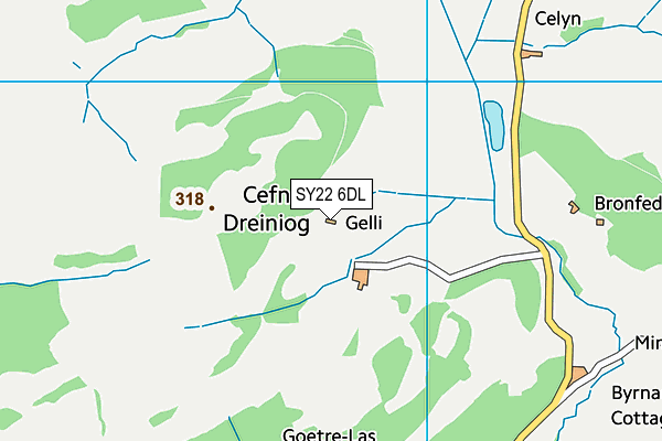 SY22 6DL map - OS VectorMap District (Ordnance Survey)