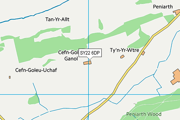 SY22 6DP map - OS VectorMap District (Ordnance Survey)