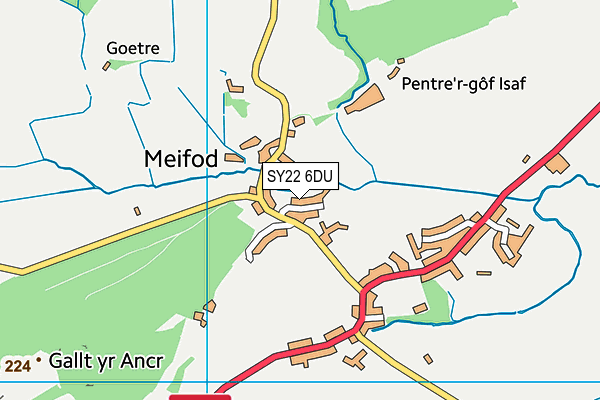 SY22 6DU map - OS VectorMap District (Ordnance Survey)