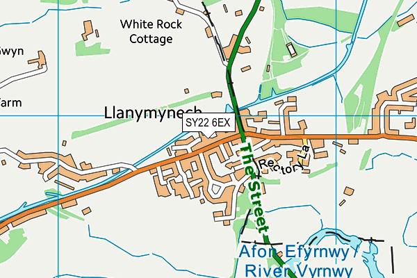 SY22 6EX map - OS VectorMap District (Ordnance Survey)