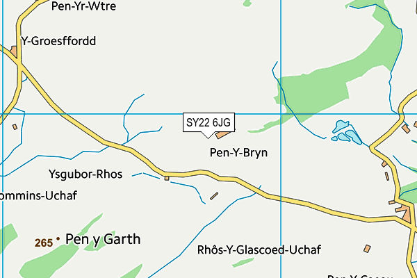 SY22 6JG map - OS VectorMap District (Ordnance Survey)