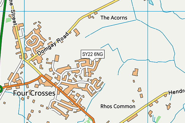 SY22 6NG map - OS VectorMap District (Ordnance Survey)