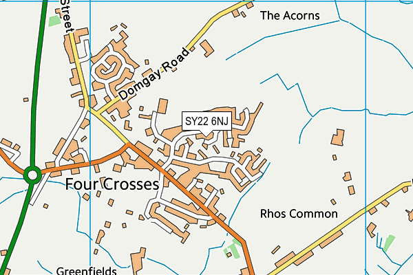 SY22 6NJ map - OS VectorMap District (Ordnance Survey)