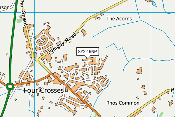 SY22 6NP map - OS VectorMap District (Ordnance Survey)