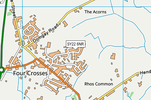 SY22 6NR map - OS VectorMap District (Ordnance Survey)