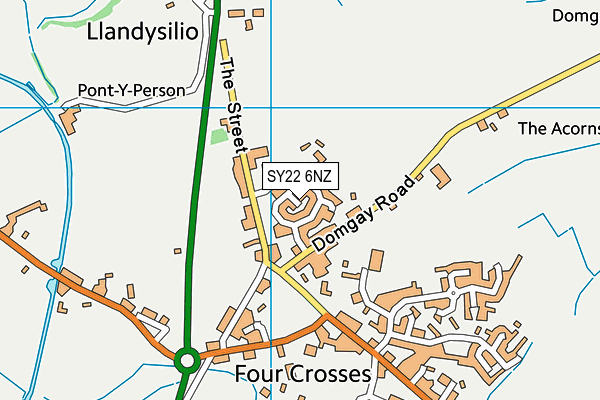 SY22 6NZ map - OS VectorMap District (Ordnance Survey)