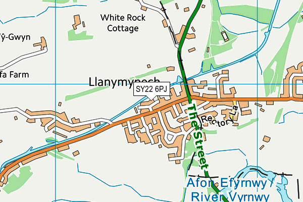 SY22 6PJ map - OS VectorMap District (Ordnance Survey)