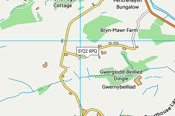 SY22 6PQ map - OS VectorMap District (Ordnance Survey)