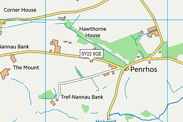 SY22 6QE map - OS VectorMap District (Ordnance Survey)