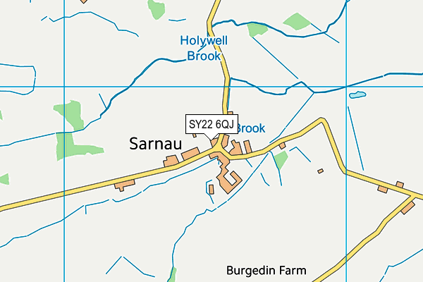 SY22 6QJ map - OS VectorMap District (Ordnance Survey)