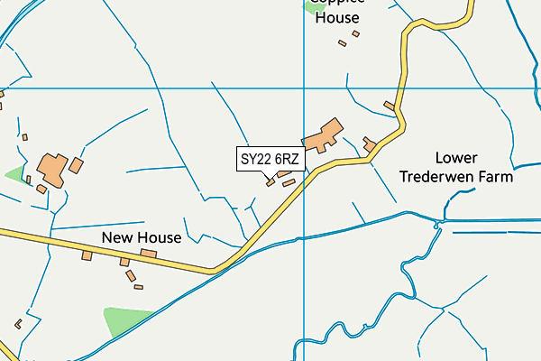 SY22 6RZ map - OS VectorMap District (Ordnance Survey)