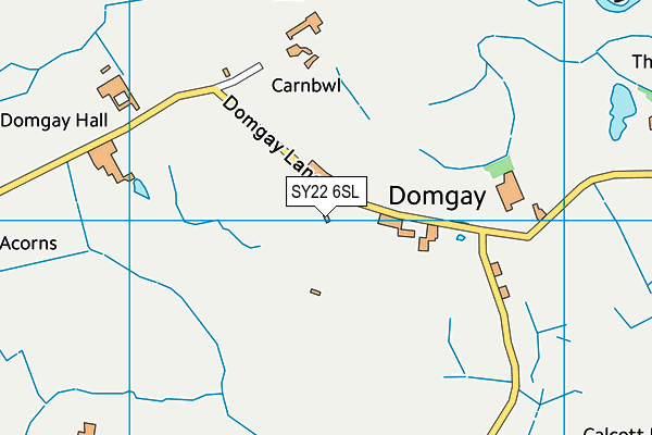 SY22 6SL map - OS VectorMap District (Ordnance Survey)