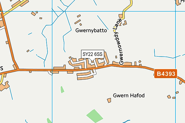 SY22 6SS map - OS VectorMap District (Ordnance Survey)