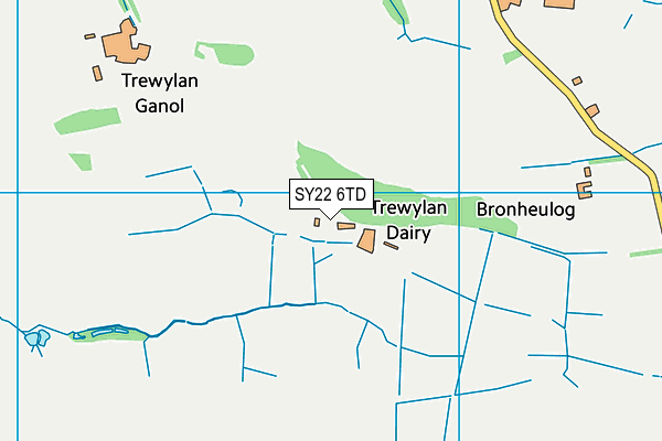 SY22 6TD map - OS VectorMap District (Ordnance Survey)