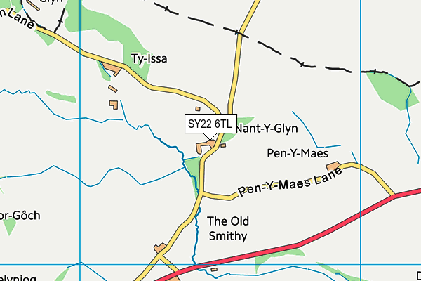 SY22 6TL map - OS VectorMap District (Ordnance Survey)