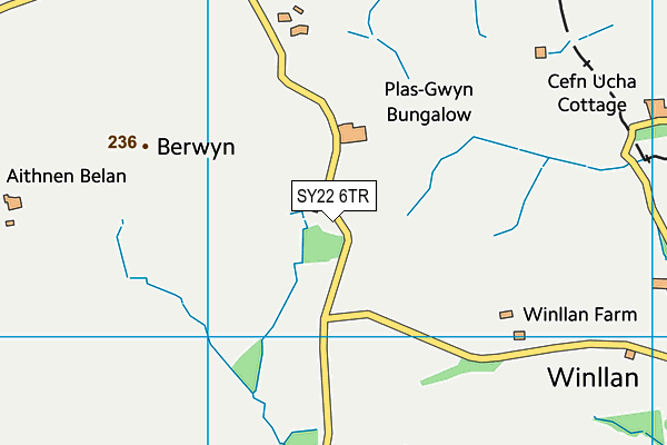 SY22 6TR map - OS VectorMap District (Ordnance Survey)