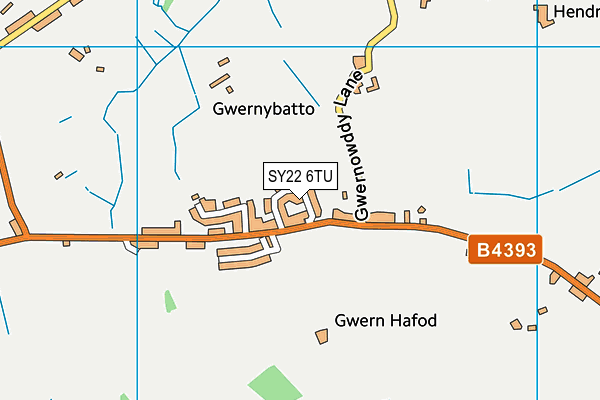 SY22 6TU map - OS VectorMap District (Ordnance Survey)