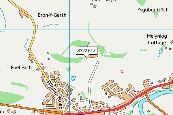 SY22 6TZ map - OS VectorMap District (Ordnance Survey)