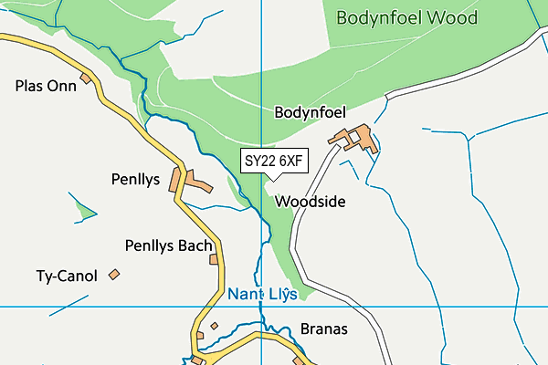 SY22 6XF map - OS VectorMap District (Ordnance Survey)