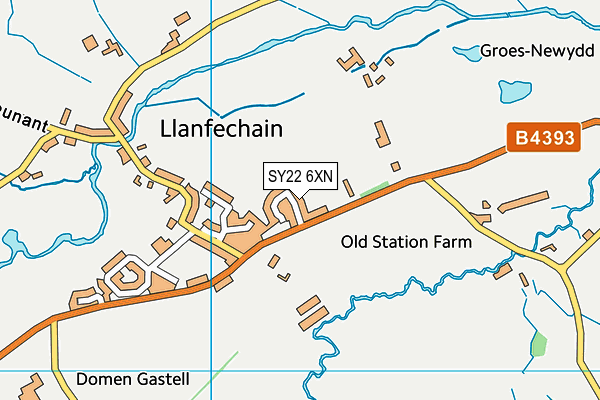 SY22 6XN map - OS VectorMap District (Ordnance Survey)