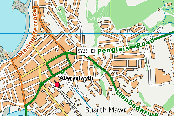 SY23 1EH map - OS VectorMap District (Ordnance Survey)