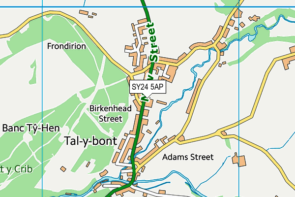 SY24 5AP map - OS VectorMap District (Ordnance Survey)