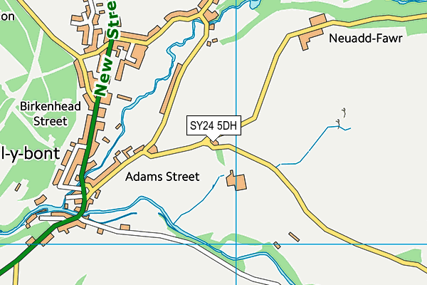 SY24 5DH map - OS VectorMap District (Ordnance Survey)