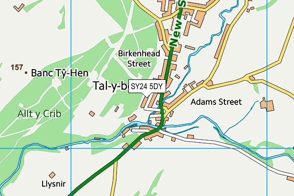 SY24 5DY map - OS VectorMap District (Ordnance Survey)