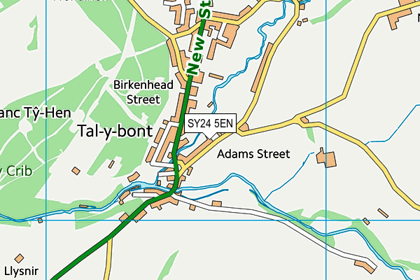 SY24 5EN map - OS VectorMap District (Ordnance Survey)