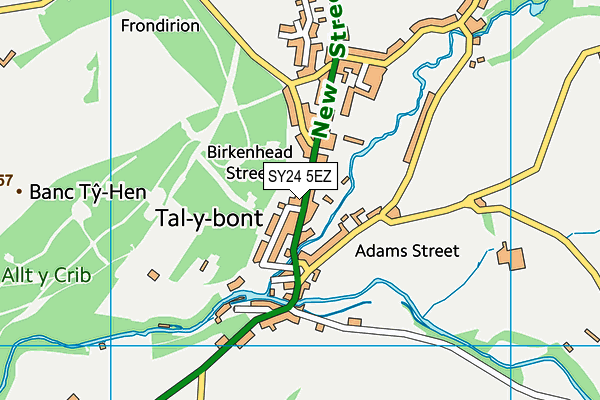 SY24 5EZ map - OS VectorMap District (Ordnance Survey)