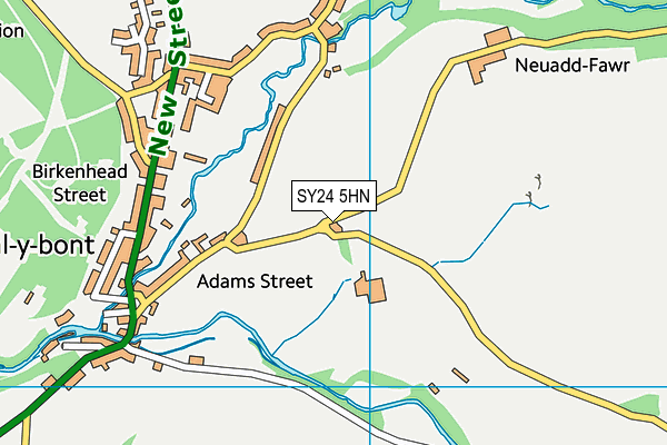 SY24 5HN map - OS VectorMap District (Ordnance Survey)