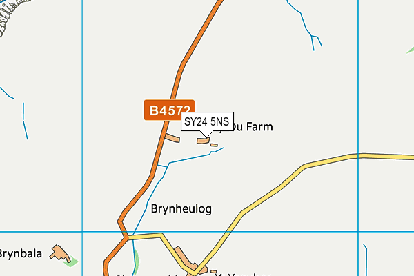 SY24 5NS map - OS VectorMap District (Ordnance Survey)