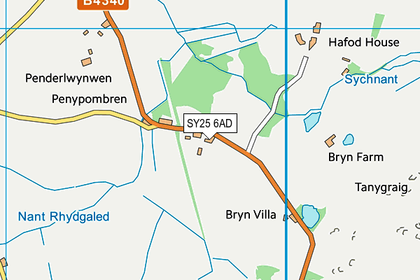 SY25 6AD map - OS VectorMap District (Ordnance Survey)