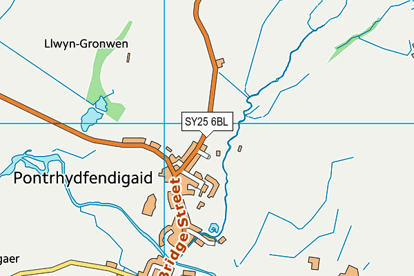 Ysgol Pontrhydfendigaid map (SY25 6BL) - OS VectorMap District (Ordnance Survey)