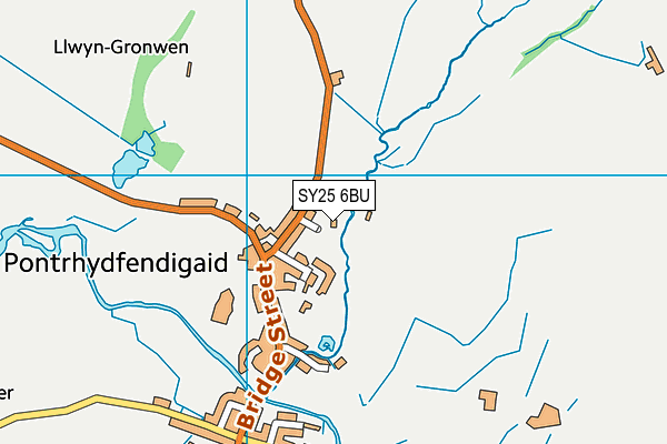 SY25 6BU map - OS VectorMap District (Ordnance Survey)