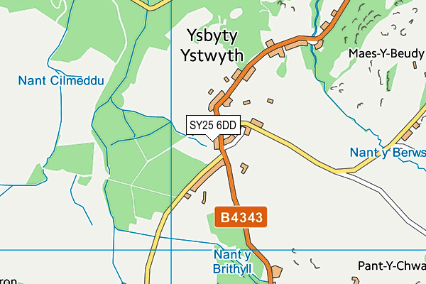 SY25 6DD map - OS VectorMap District (Ordnance Survey)