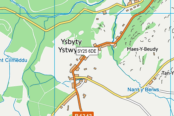 SY25 6DE map - OS VectorMap District (Ordnance Survey)