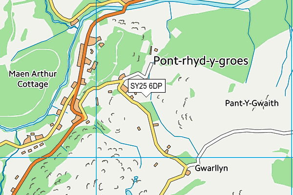 SY25 6DP map - OS VectorMap District (Ordnance Survey)