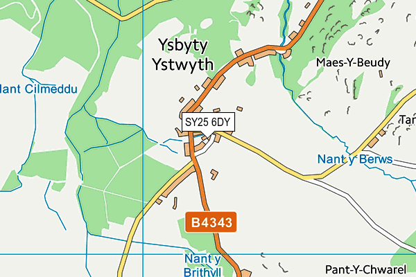 SY25 6DY map - OS VectorMap District (Ordnance Survey)