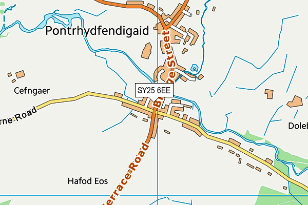 SY25 6EE map - OS VectorMap District (Ordnance Survey)