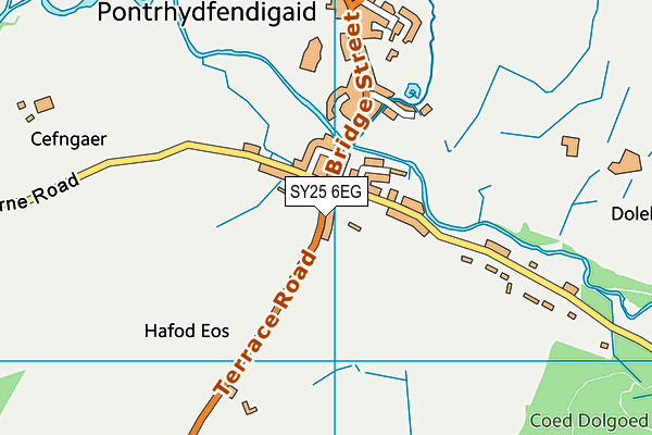 SY25 6EG map - OS VectorMap District (Ordnance Survey)