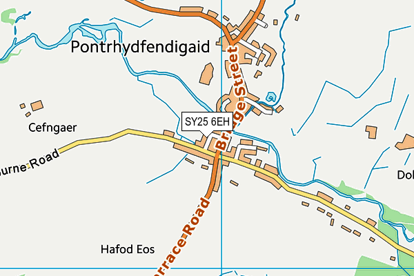 SY25 6EH map - OS VectorMap District (Ordnance Survey)