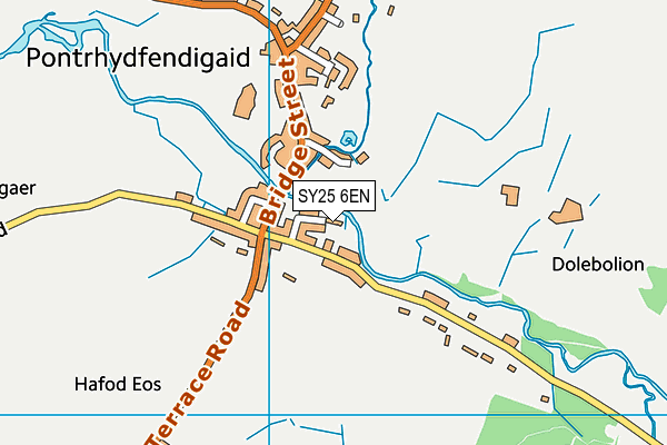 SY25 6EN map - OS VectorMap District (Ordnance Survey)