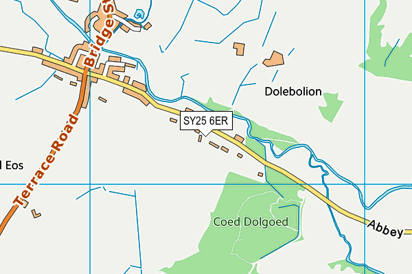 SY25 6ER map - OS VectorMap District (Ordnance Survey)