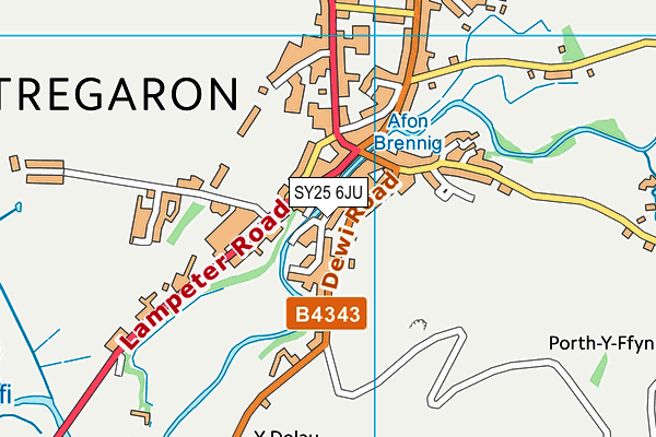 SY25 6JU map - OS VectorMap District (Ordnance Survey)