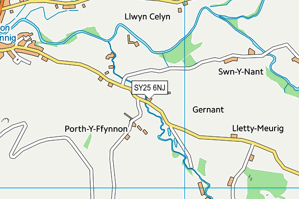 SY25 6NJ map - OS VectorMap District (Ordnance Survey)