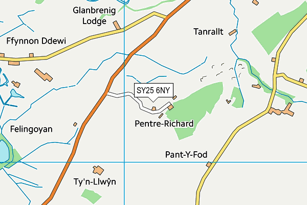 SY25 6NY map - OS VectorMap District (Ordnance Survey)